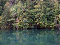 Erste Laubfärbung über dem grünen Schöngrundsee